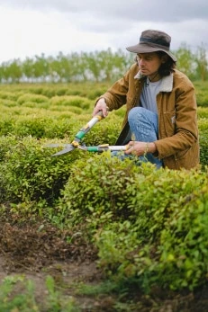 Services sur le terrain